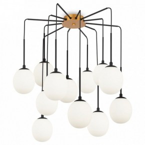 Потолочная люстра Maytoni Branch MOD176PL-12G в Лысьве - lysva.mebel24.online | фото 3