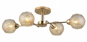 Потолочная люстра Rivoli Amalia Б0050815 в Лысьве - lysva.mebel24.online | фото 3
