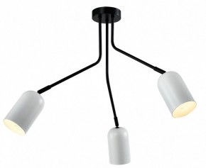 Потолочная люстра Rivoli Rosalinda Б0064987 в Лысьве - lysva.mebel24.online | фото 2