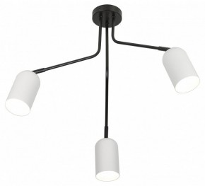 Потолочная люстра Rivoli Rosalinda Б0064987 в Лысьве - lysva.mebel24.online | фото 4
