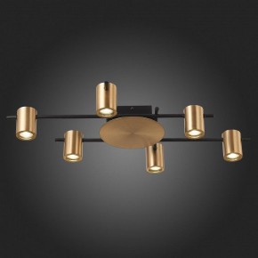 Потолочная люстра ST-Luce Veroli SL1207.402.06 в Лысьве - lysva.mebel24.online | фото 6