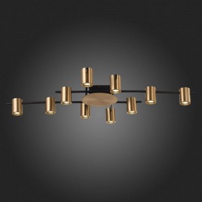 Потолочная люстра ST-Luce Veroli SL1207.402.10 в Лысьве - lysva.mebel24.online | фото 6