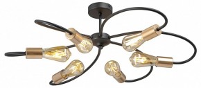 Потолочная люстра Vitaluce V3076 V3076-1/6PL в Лысьве - lysva.mebel24.online | фото 3