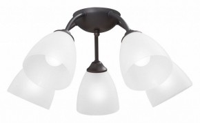 Потолочная люстра Vitaluce V3184 V3737-2/5PL в Лысьве - lysva.mebel24.online | фото