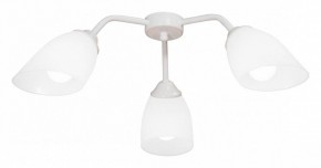 Потолочная люстра Vitaluce V31950 V31950/3PL в Лысьве - lysva.mebel24.online | фото