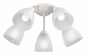Потолочная люстра Vitaluce V3737 V3737-0/5PL в Лысьве - lysva.mebel24.online | фото