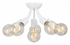 Потолочная люстра Vitaluce V3927 V3927-0/6PL в Лысьве - lysva.mebel24.online | фото