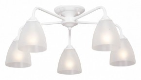 Потолочная люстра Vitaluce  V3946-0/5PL в Лысьве - lysva.mebel24.online | фото