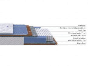 PROxSON Матрас Active Duo M/F (Ткань Трикотаж Эко) 200x200 в Лысьве - lysva.mebel24.online | фото 2
