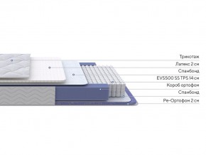 PROxSON Матрас Active Duo S/F (Ткань Трикотаж Эко) 160x195 в Лысьве - lysva.mebel24.online | фото 1