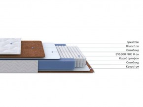 PROxSON Матрас Active F Roll (Ткань Трикотаж Эко) 120x200 в Лысьве - lysva.mebel24.online | фото 2