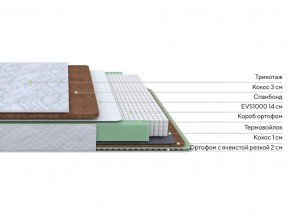 PROxSON Матрас Green Duo M/F (Tricotage Dream) 80x200 в Лысьве - lysva.mebel24.online | фото 1