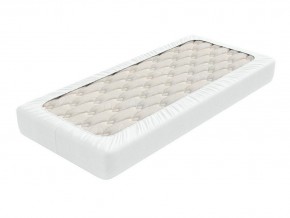 PROxSON Защитный чехол Aqua Save Light M (Ткань влагостойкая Tencel Jersey) 120x190 в Лысьве - lysva.mebel24.online | фото 2