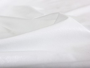 PROxSON Защитный чехол Aqua Save M (Ткань влагостойкая Terry Cloth) 120x195 в Лысьве - lysva.mebel24.online | фото 6