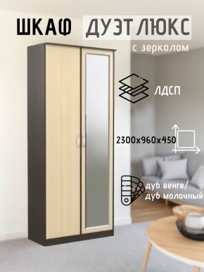 Шкаф 2-х створчатый Дуэт Люкс с зеркалом в Лысьве - lysva.mebel24.online | фото