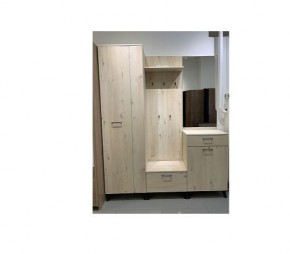 Шкаф для одежды 2-х дверный София 1 в Лысьве - lysva.mebel24.online | фото 6