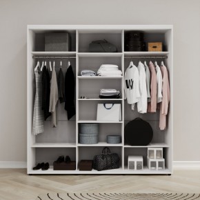 Шкаф-купе Акцент-Сим З 1500-600 в Лысьве - lysva.mebel24.online | фото 2