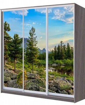 Шкаф-купе ХИТ 22-20/2-777 ПРИРОДА в Лысьве - lysva.mebel24.online | фото