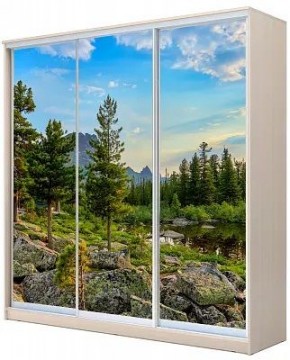 Шкаф-купе ХИТ 22-20-777 ПРИРОДА в Лысьве - lysva.mebel24.online | фото