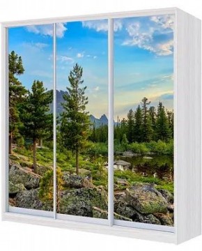 Шкаф-купе ХИТ 22-4-20-777 ПРИРОДА в Лысьве - lysva.mebel24.online | фото