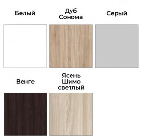 Шкаф-купе ХИТ 23-24/2-7777 (620) в Лысьве - lysva.mebel24.online | фото 2