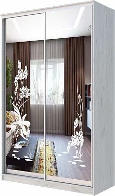 Шкаф-купе ХИТ 24-14-66 ЦАПЛИ в Лысьве - lysva.mebel24.online | фото