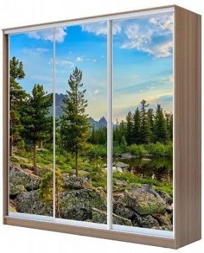 Шкаф-купе ХИТ 24-20/2-777 ПРИРОДА в Лысьве - lysva.mebel24.online | фото