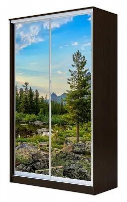 Шкаф-купе ХИТ 24-4-12-77 ПРИРОДА в Лысьве - lysva.mebel24.online | фото