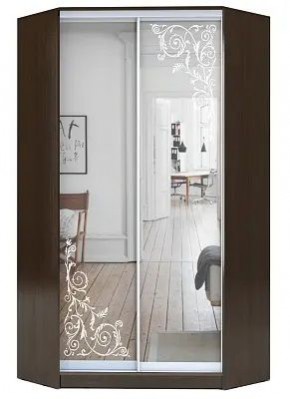 Шкаф-купе ХИТ-У-23-4-66 ОРНАМЕНТ в Лысьве - lysva.mebel24.online | фото