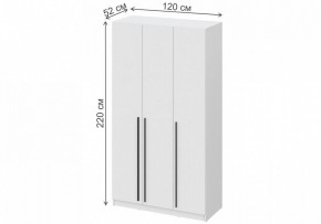 Шкаф платяной Бирма ШК-1200 в Лысьве - lysva.mebel24.online | фото 4