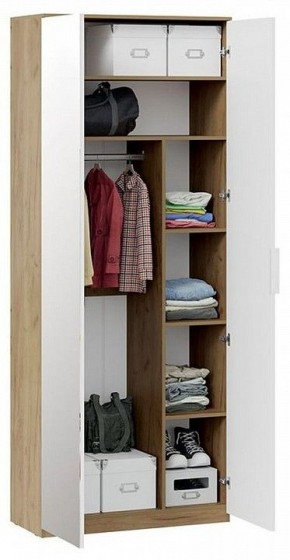 Шкаф платяной Хилтон Исп. 2.1 в Лысьве - lysva.mebel24.online | фото 4
