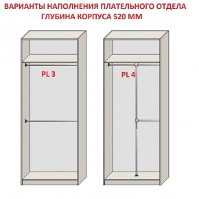 Шкаф распашной серия «ЗЕВС» (PL3/С1/PL2) в Лысьве - lysva.mebel24.online | фото 10