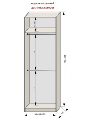 Шкаф распашной серия «ЗЕВС» (PL3/С1/PL2) в Лысьве - lysva.mebel24.online | фото 12