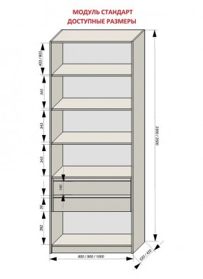 Шкаф распашной серия «ЗЕВС» (PL3/С1/PL2) в Лысьве - lysva.mebel24.online | фото 13