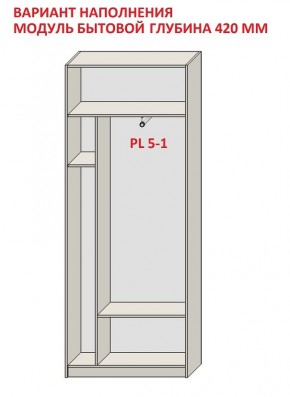 Шкаф распашной серия «ЗЕВС» (PL3/С1/PL2) в Лысьве - lysva.mebel24.online | фото 4