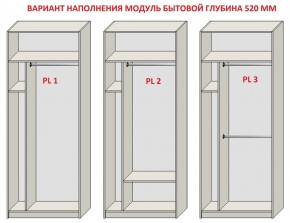 Шкаф распашной серия «ЗЕВС» (PL3/С1/PL2) в Лысьве - lysva.mebel24.online | фото 5