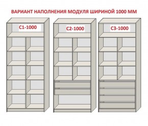 Шкаф распашной серия «ЗЕВС» (PL3/С1/PL2) в Лысьве - lysva.mebel24.online | фото 7