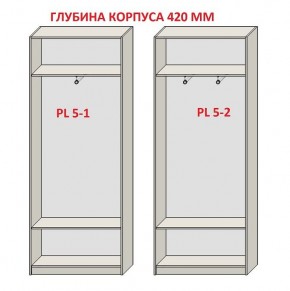 Шкаф распашной серия «ЗЕВС» (PL3/С1/PL2) в Лысьве - lysva.mebel24.online | фото 8