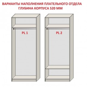 Шкаф распашной серия «ЗЕВС» (PL3/С1/PL2) в Лысьве - lysva.mebel24.online | фото 9