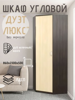 Шкаф угловой Дуэт Люкс без зеркала в Лысьве - lysva.mebel24.online | фото 3