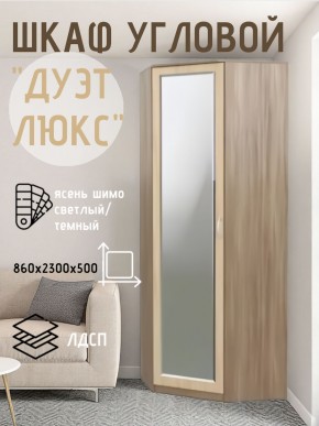 Шкаф угловой Дуэт Люкс с зеркалом в Лысьве - lysva.mebel24.online | фото 3