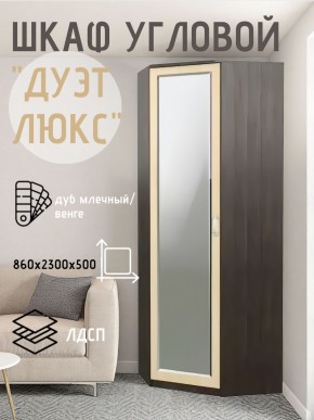 Шкаф угловой Дуэт Люкс с зеркалом в Лысьве - lysva.mebel24.online | фото 5