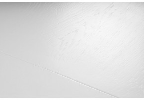 Стол деревянный Эвклаз 160(200)х90х77 белый / белый в Лысьве - lysva.mebel24.online | фото 9