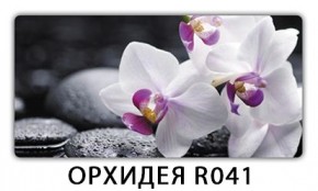 Стол раздвижной Бриз орхидея R041 Кофе R012 в Лысьве - lysva.mebel24.online | фото 1