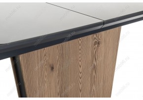 Стол стеклянный Теон 140(180)х80х76 лиственница / графит в Лысьве - lysva.mebel24.online | фото 10