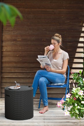 Столик-холодильник Кул-Стул (Cool stool) коричневый в Лысьве - lysva.mebel24.online | фото 2