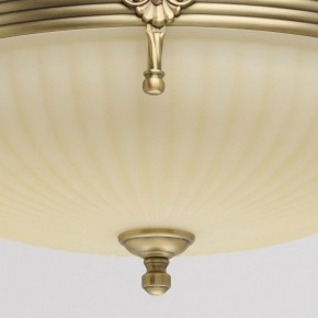 Светильник на штанге MW-Light Афродита 1 317011504 в Лысьве - lysva.mebel24.online | фото 4