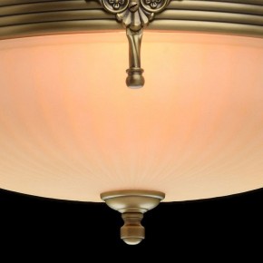 Светильник на штанге MW-Light Афродита 1 317011504 в Лысьве - lysva.mebel24.online | фото 5