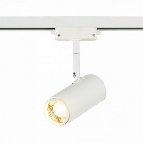 Светильник на штанге ST-Luce Zoom ST600.536.12 в Лысьве - lysva.mebel24.online | фото 2
