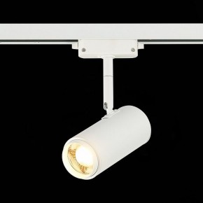 Светильник на штанге ST-Luce Zoom ST600.536.12 в Лысьве - lysva.mebel24.online | фото 4